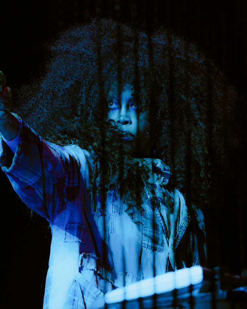 Erykah Badu - The Mama's Gun #12