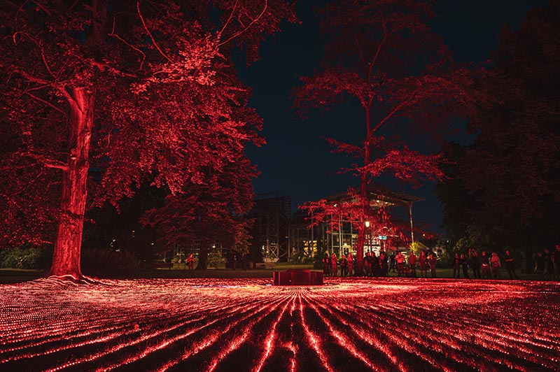 SYNC, Biennale Gliwice 2025 #5